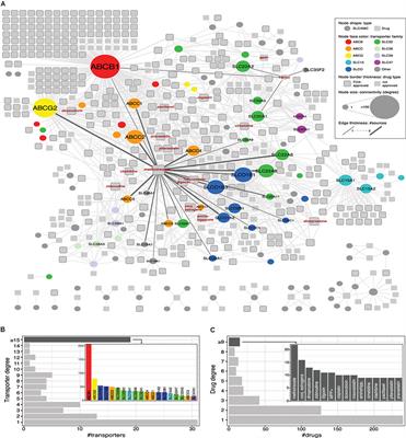 In silico Prioritization of Transporter–Drug Relationships From Drug Sensitivity Screens